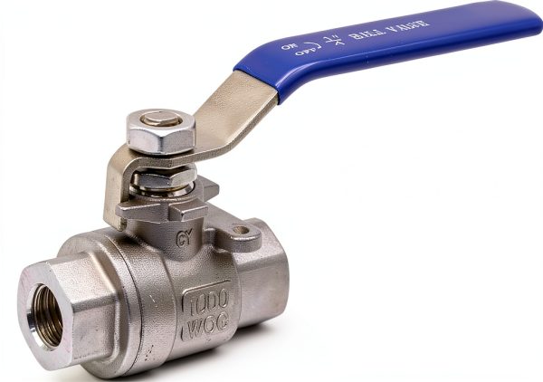 DERNORD Ball Valve Stainless Steel 304 1/4" NPT Heavy Duty for Water, Oil, and Gas with Blue Locking Handles (Pack of 2)-1